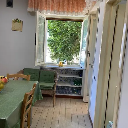 Guest house Dana House Naples