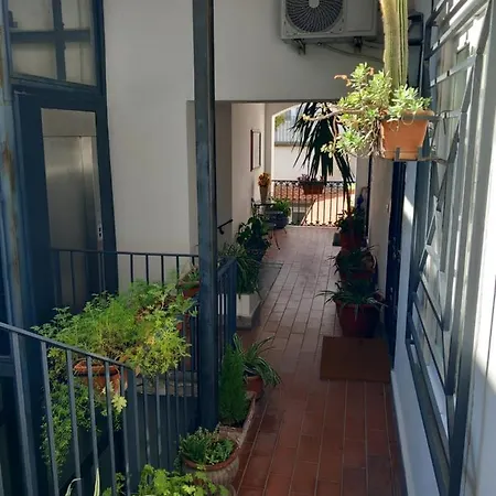 Apartment Nilo 28 House *