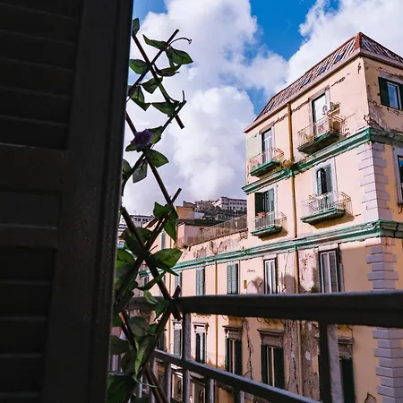 Gg-grow - S. Brigida Guest house