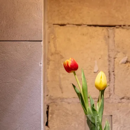 Residenza Toledo Bed & Breakfast