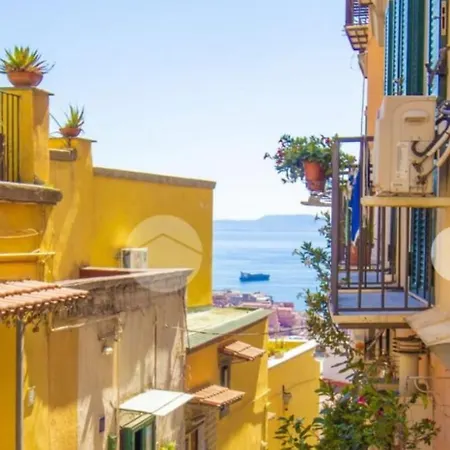 Petraio Napoli