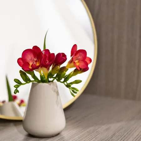 Residenza Toledo Bed & Breakfast Napoli