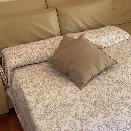 Dana House Guest house *