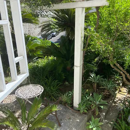 Guest house Dana House Naples