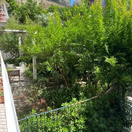 Dana House Guest house