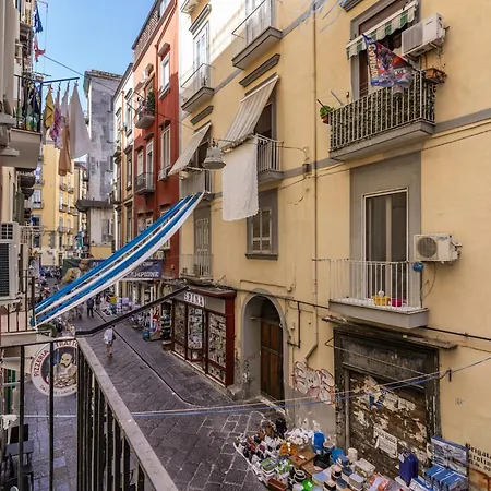 Affittacamere Domus Partenopea Napoli