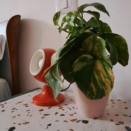 Maison Retro Appartamento