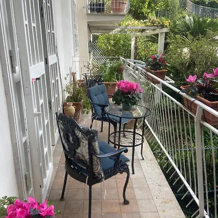 Guest house Dana House