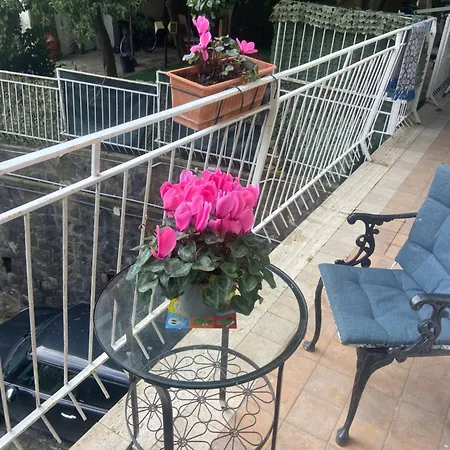 Dana House * Naples