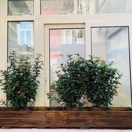 Lägenhet La Casa Di Apollo Neapel