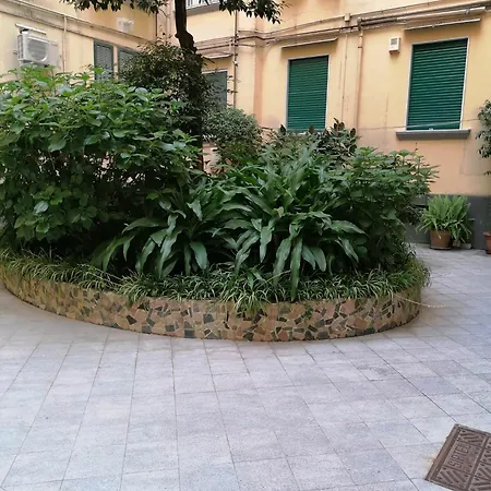 Apartamento Terrazzo 44 *