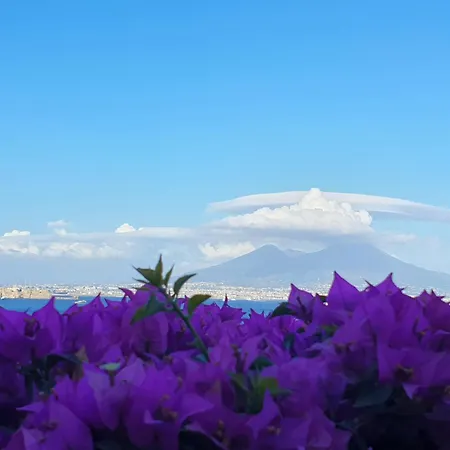 Casa Adalu Apartment Naples