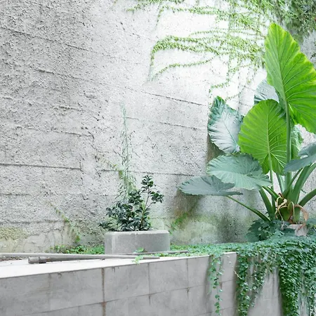 Roark Garden By Dimorra Apartment Naples