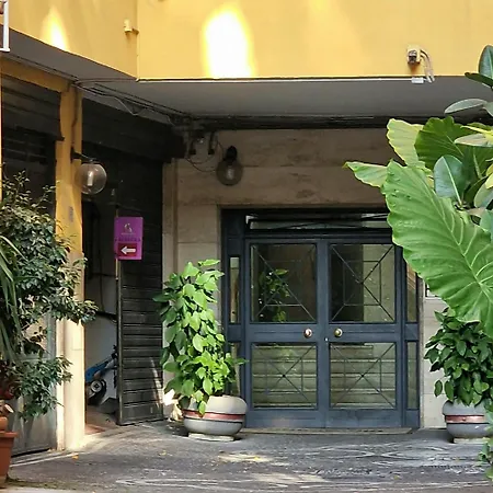Faccia Gialla Naples