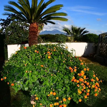 Casa Giulia Azzurra Sirena * Naples