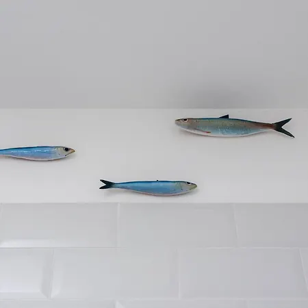 Mediterraneo Loft Appartamento Napoli
