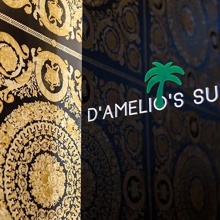 D'amelios 2.0 Neapol