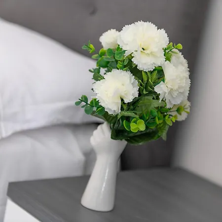 Pensjonat Irooms Foria 215 *