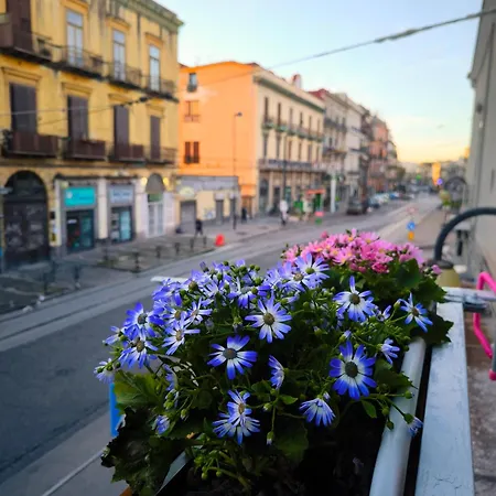 Casamira