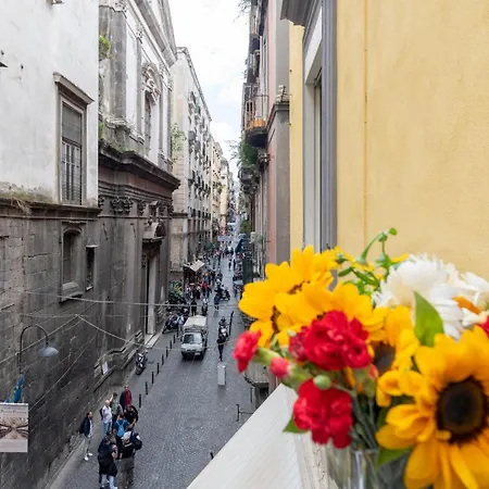Centro, Dm Napoli