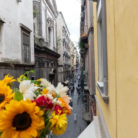 Affittacamere Centro, Dm Napoli