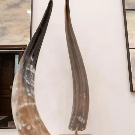 La Corte Di Partenope *