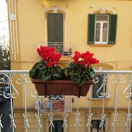 At Lettieri 4*