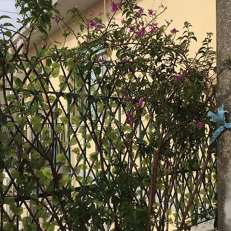 Apartment Belvedere San Martino Naples