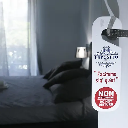Esposito Plaza- & בית הארחה