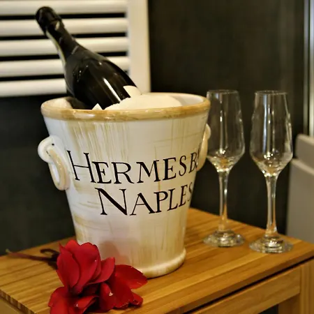 Hermes For Tourists Gasthuis 2*