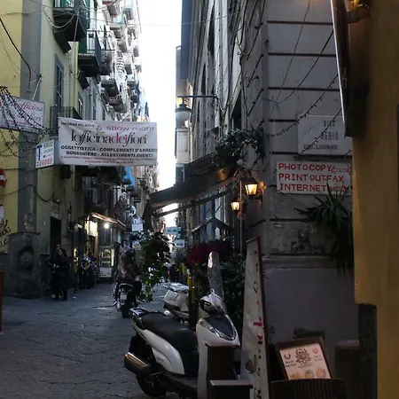 Speranzella 86 3*