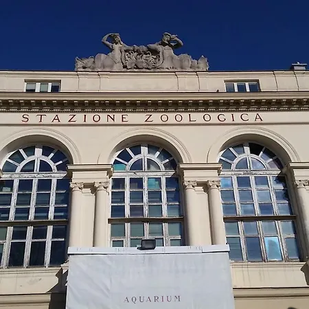 Ai Baretti 3*