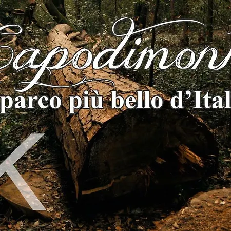 Corte Del Re Dimora Storica Bed & Breakfast