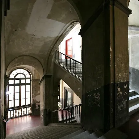 Maridy Napoli