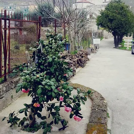 Appartamento Dependance Terramia *