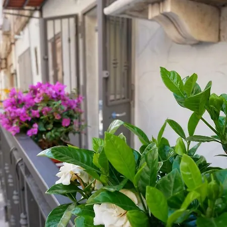 Appartement Casetta Bebbe *