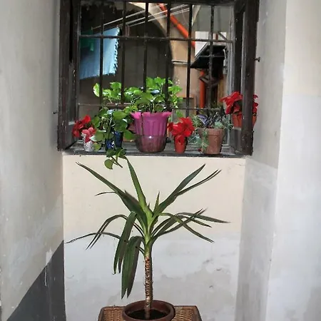 Apartment Matis House, Historic Center, San Domenico Square *