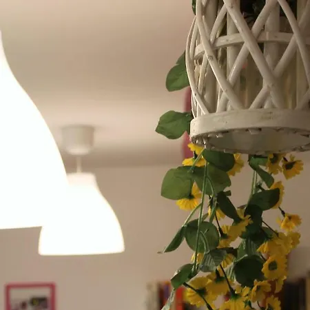 Apartment Matis House, Historic Center, San Domenico Square *