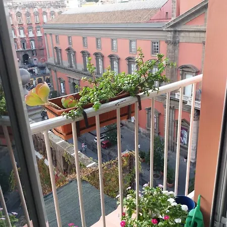 Museum Naples