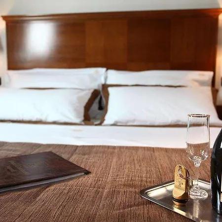 Garibaldi Hotel 3*